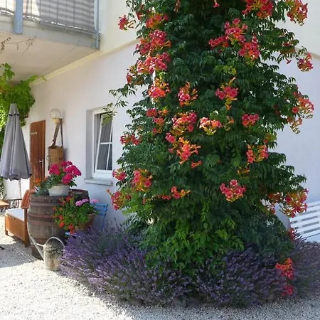 Lejlighed Haus Riether
